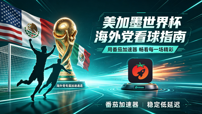 国外可以看中国的网站吗教程